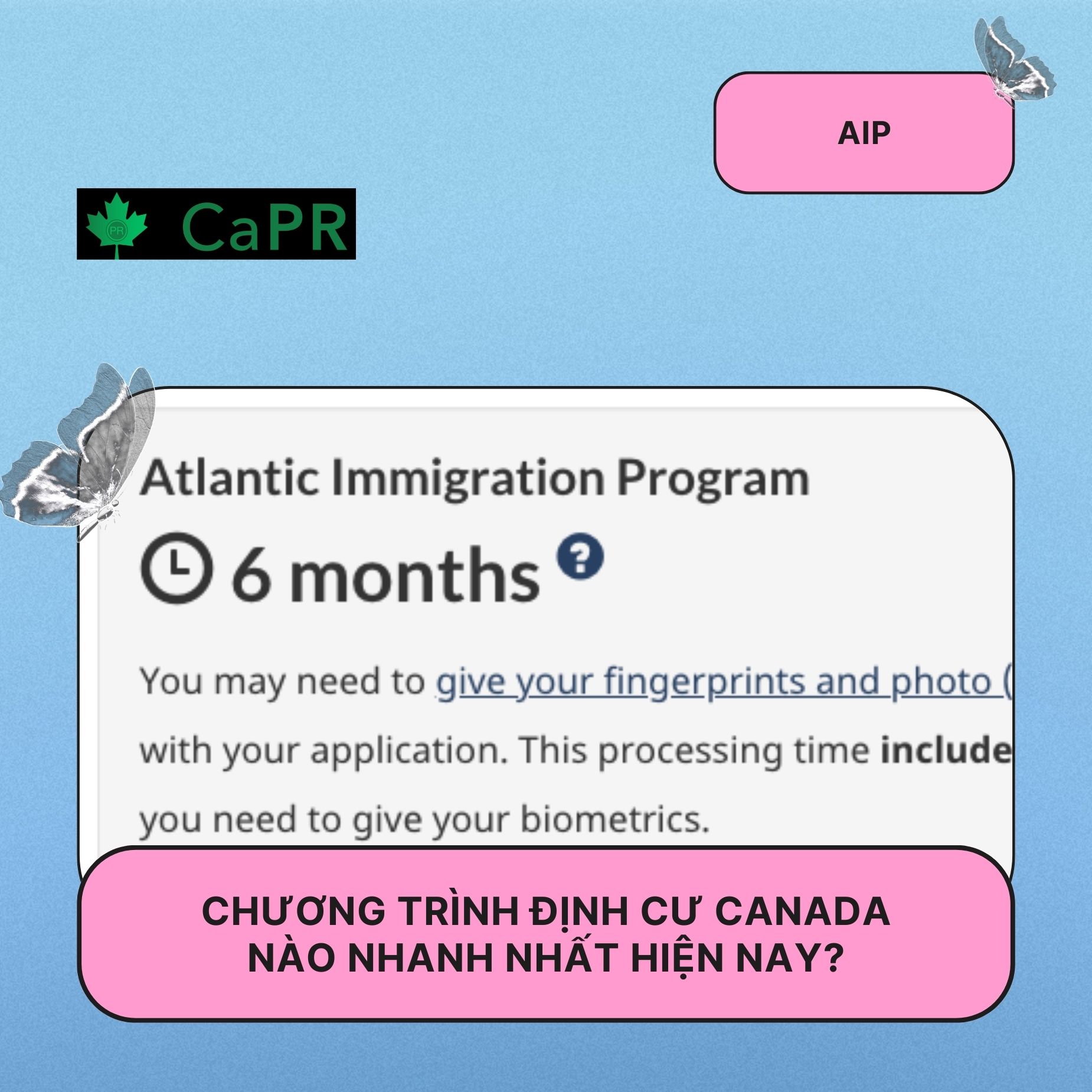 Chương trình định cư Canada nào nhanh nhất hiện nay?