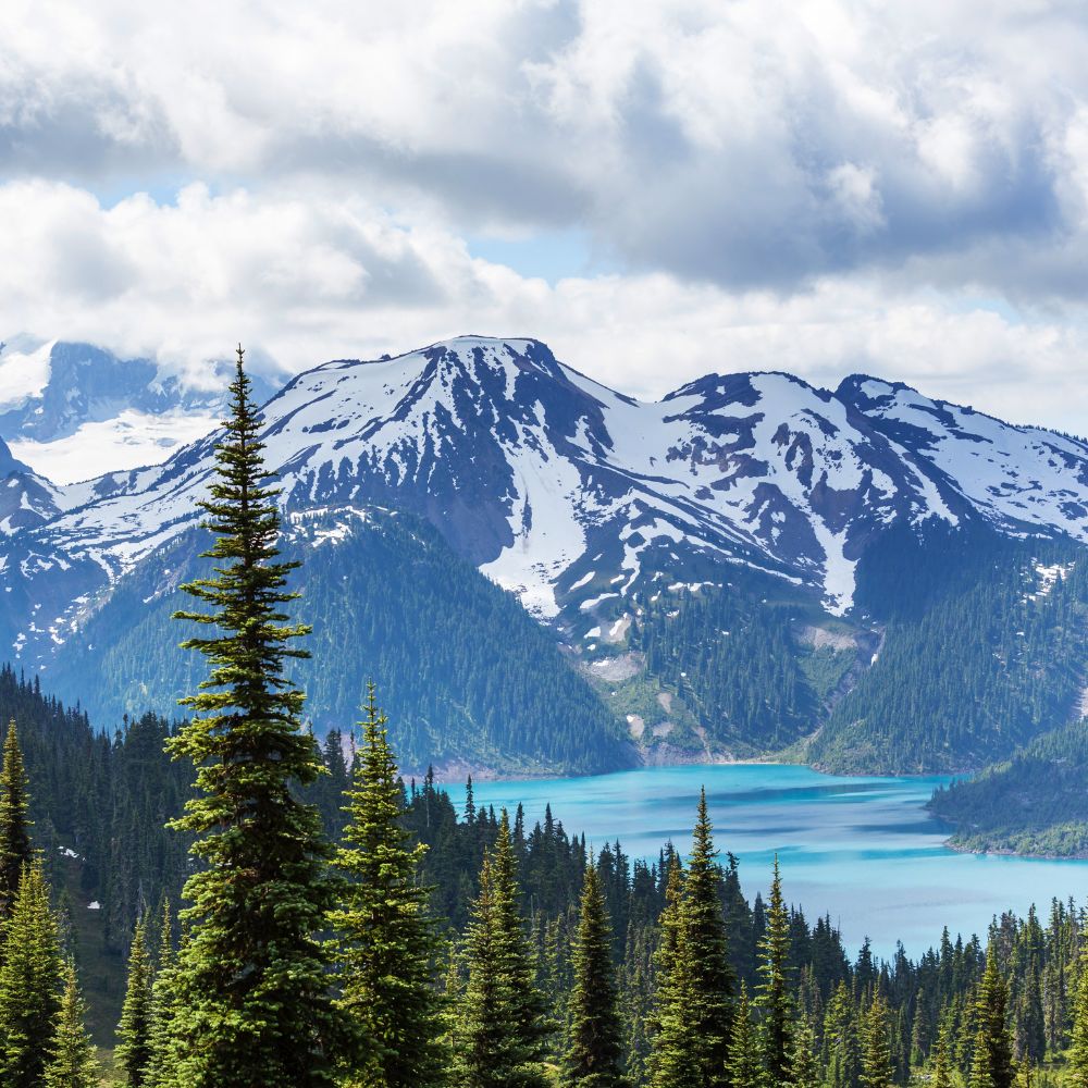 Nhập cư Canada diện SINP với Work Permit hiện tại Nhập cư Canada diện SINP với Work Permit hiện tại