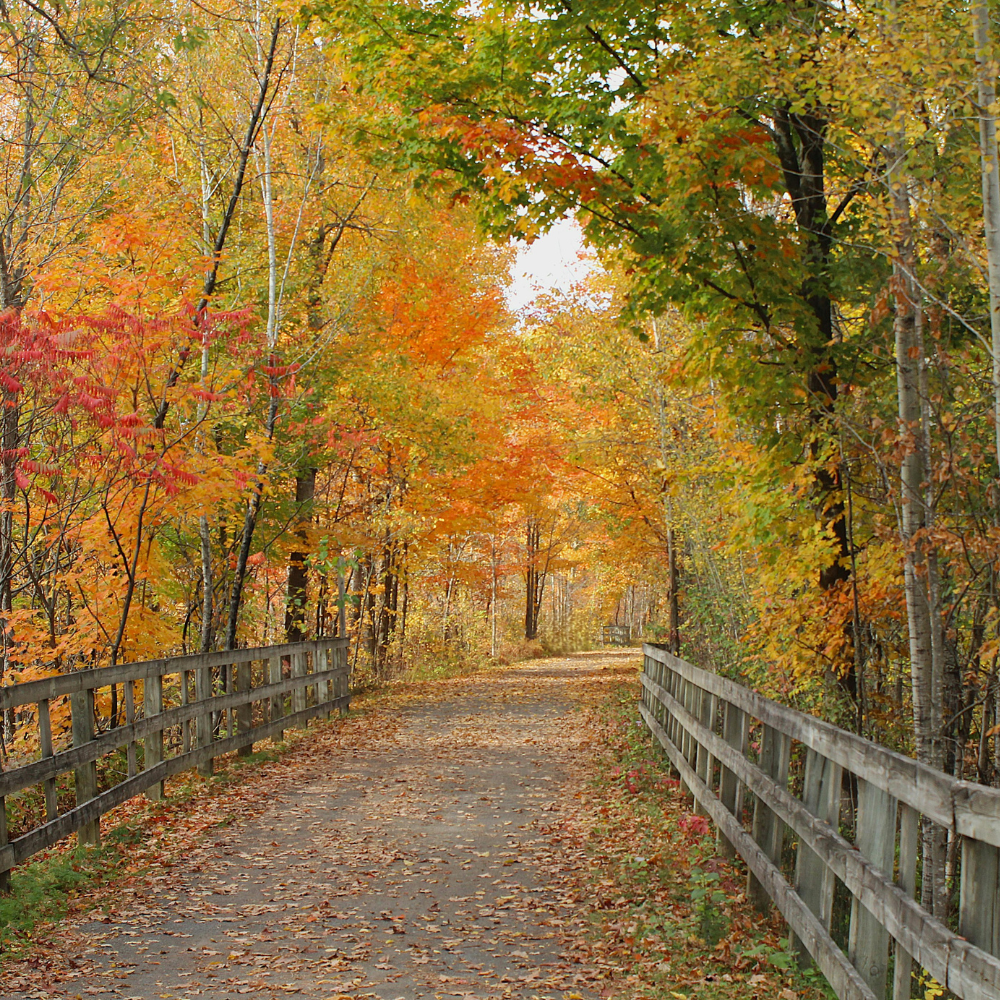 Hội Thảo Định Cư Canada