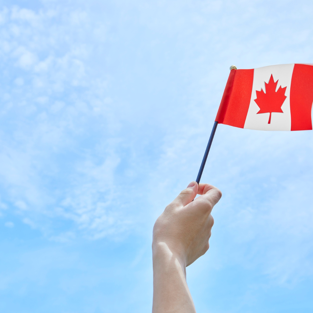 Cách định cư Canada theo chương trình RCIP Moose Jaw