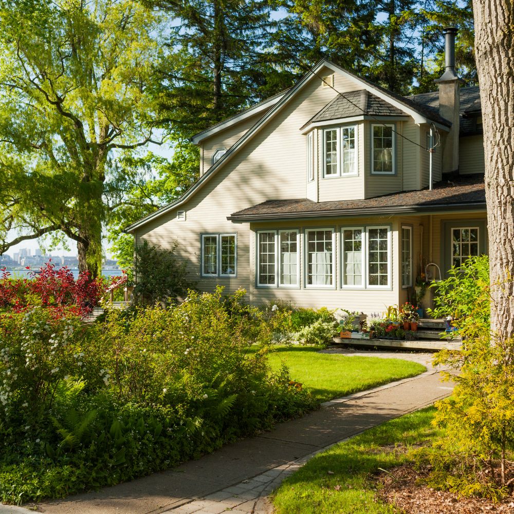 chương trình SINP