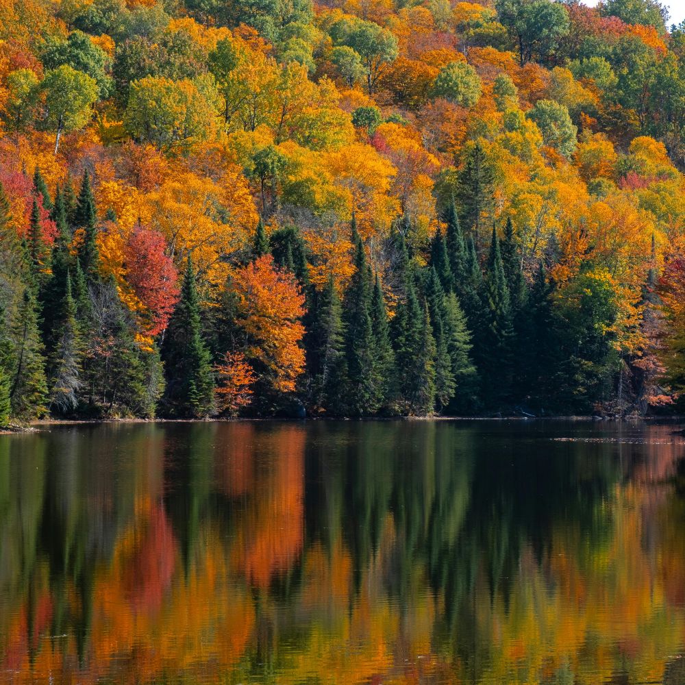 phí định cư Canada 2026, chi phí PR Canada, định cư Canada, tăng phí nhập cư Canada, thường trú nhân Canada, Provincial Nominee Program, bảo lãnh gia đình Canada, chi phí hồ sơ Canada, nhập cư Canada 2026, luật nhập cư Canada