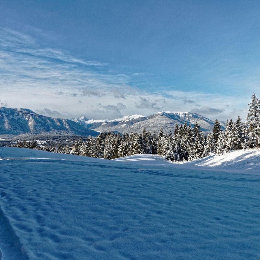 ở lại Canada khi hết hạn work permit