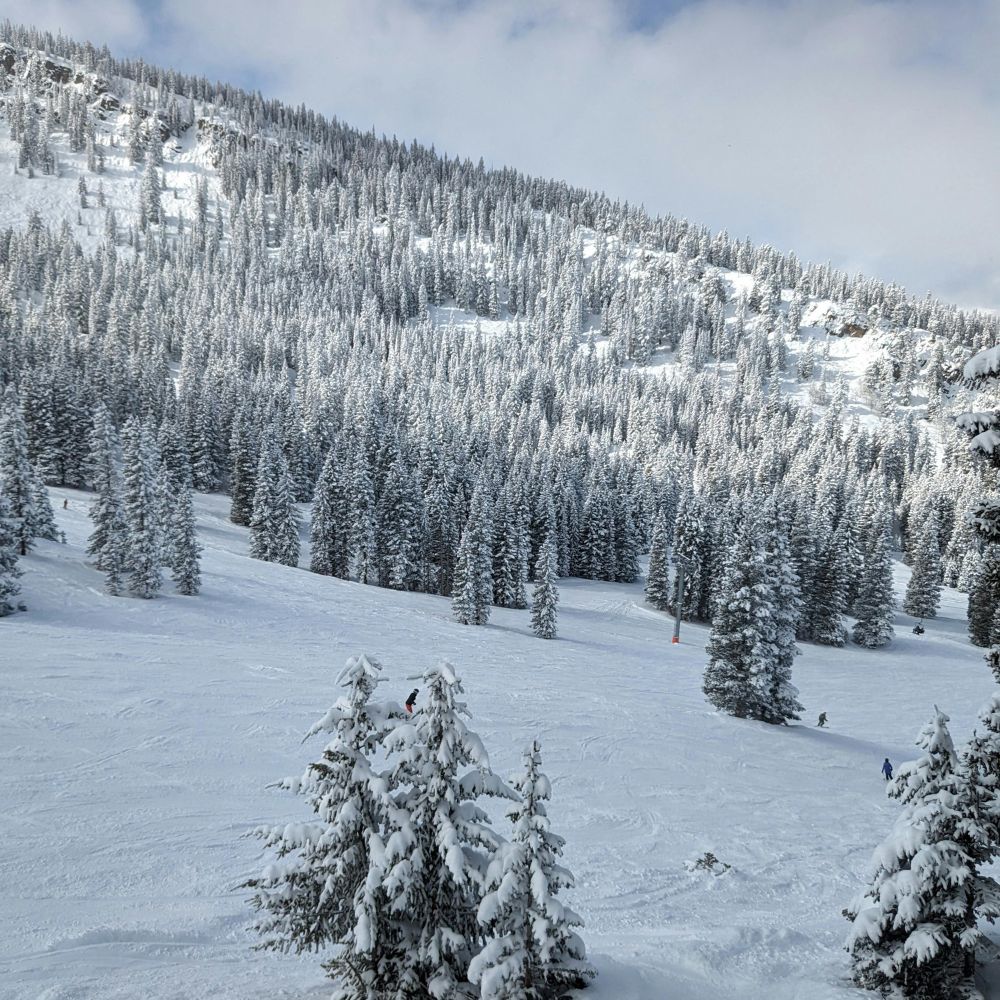 định cư Canada thiếu tiếng Anh và kinh nghiệm