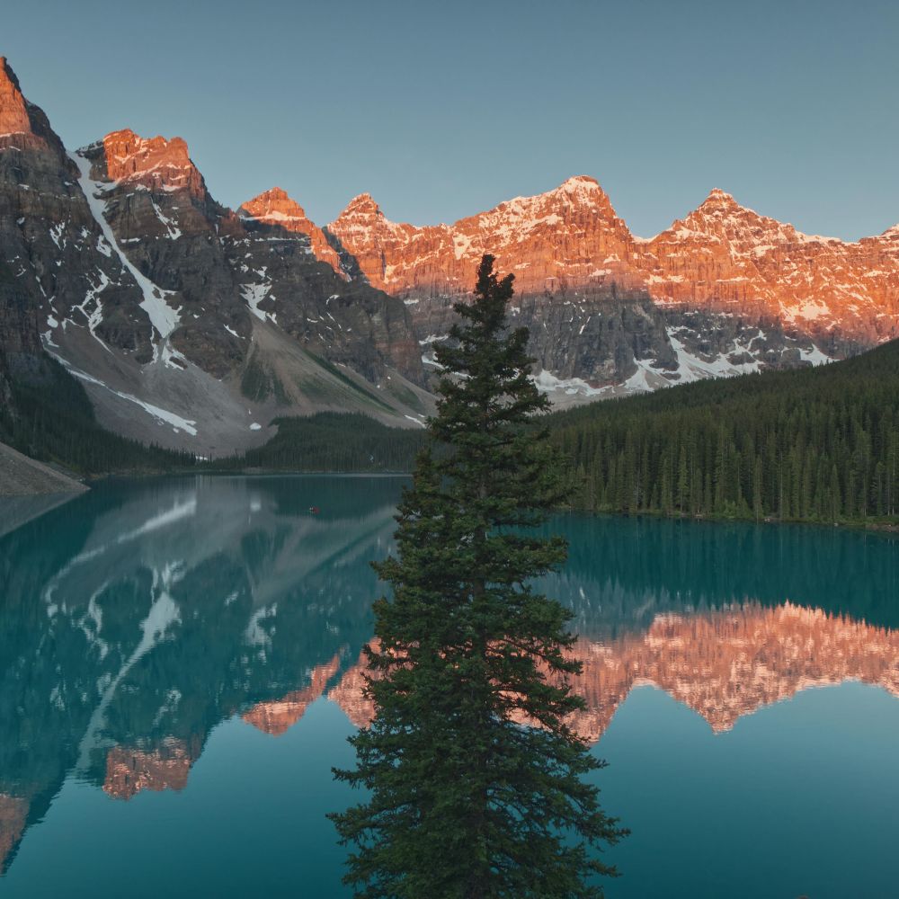 work permit Canada sắp hết hạn