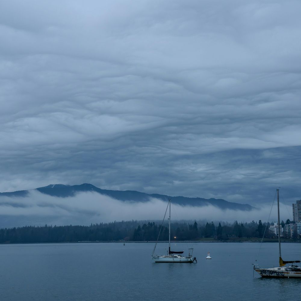 cách xử lý visa Canada bị từ chối