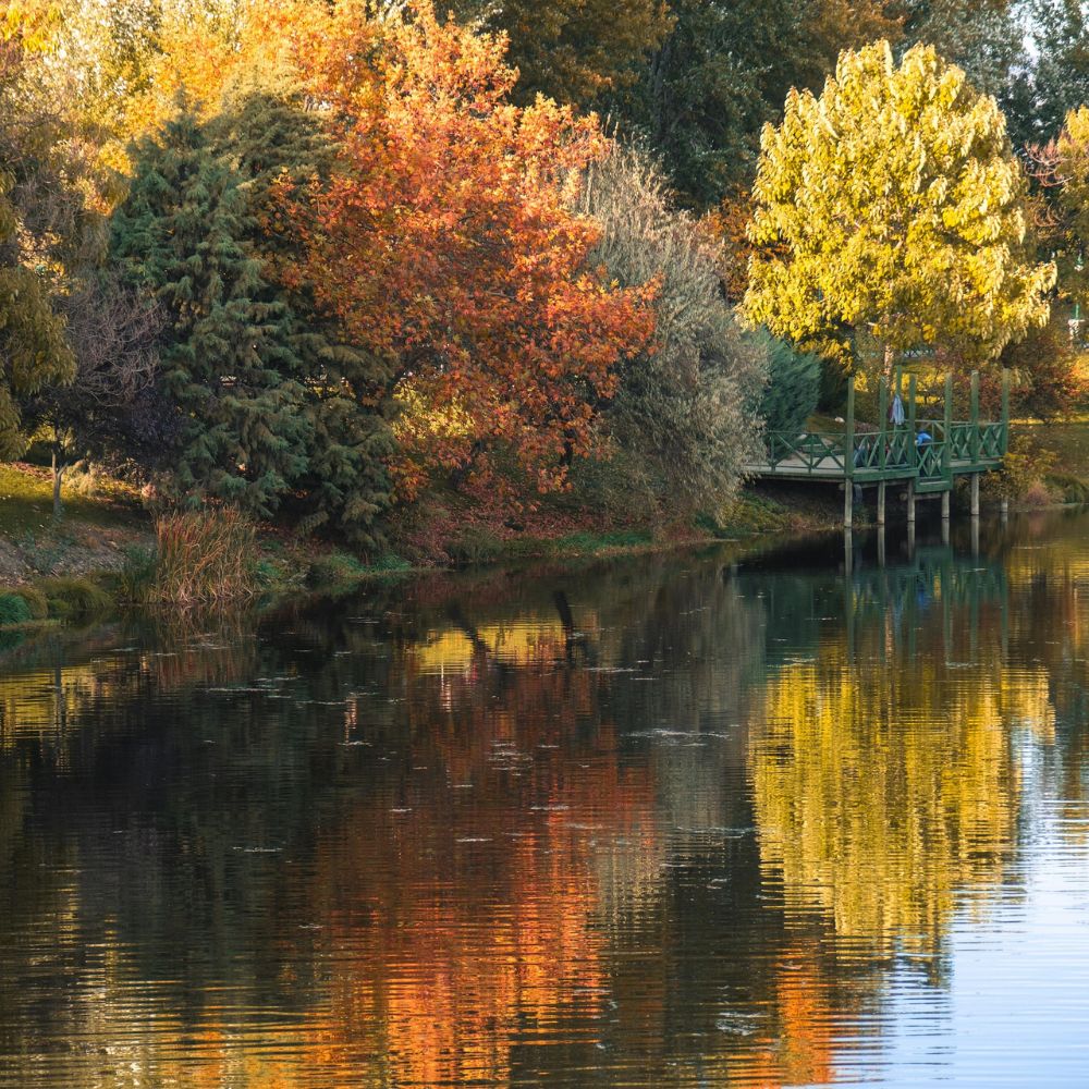 du học sinh Canada định cư PR