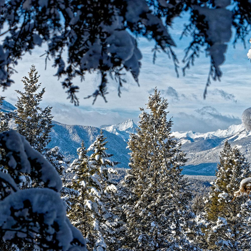 chương trình định cư canada