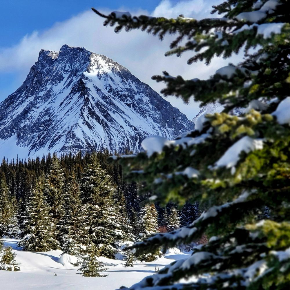 chuẩn bị hành lý đi canada