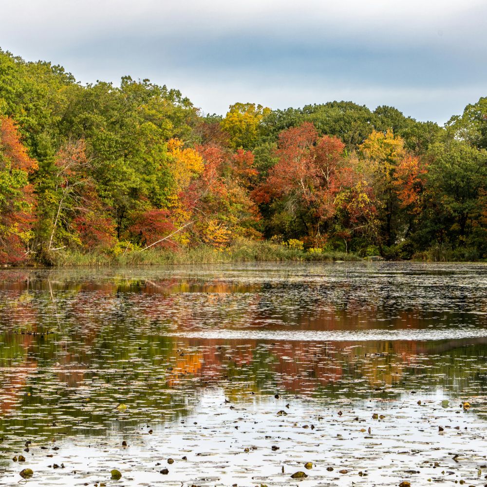 định cư Canada vùng nông thôn
