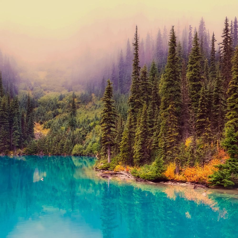 định cư Canada diện doanh nhân