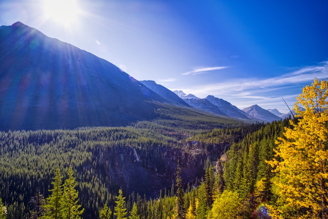 Express Entry CEC Canada