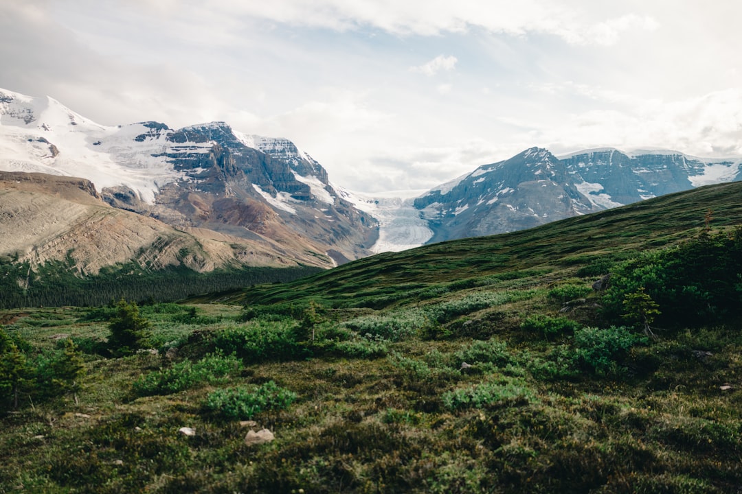 BC PNP doanh nhân 2026