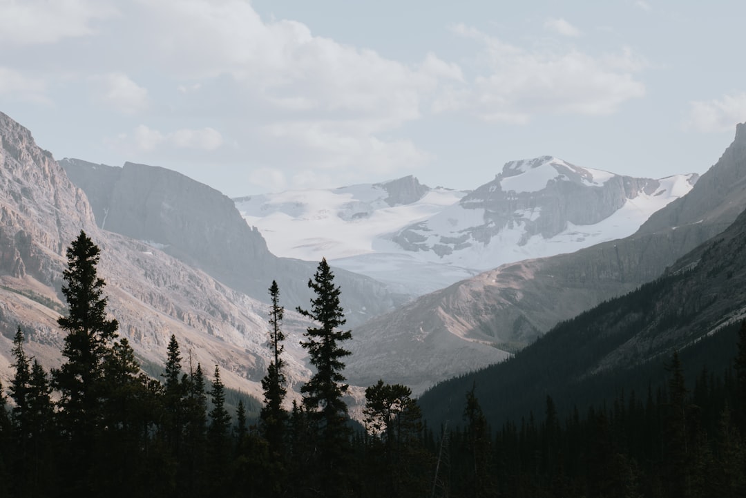quyền công dân Canada