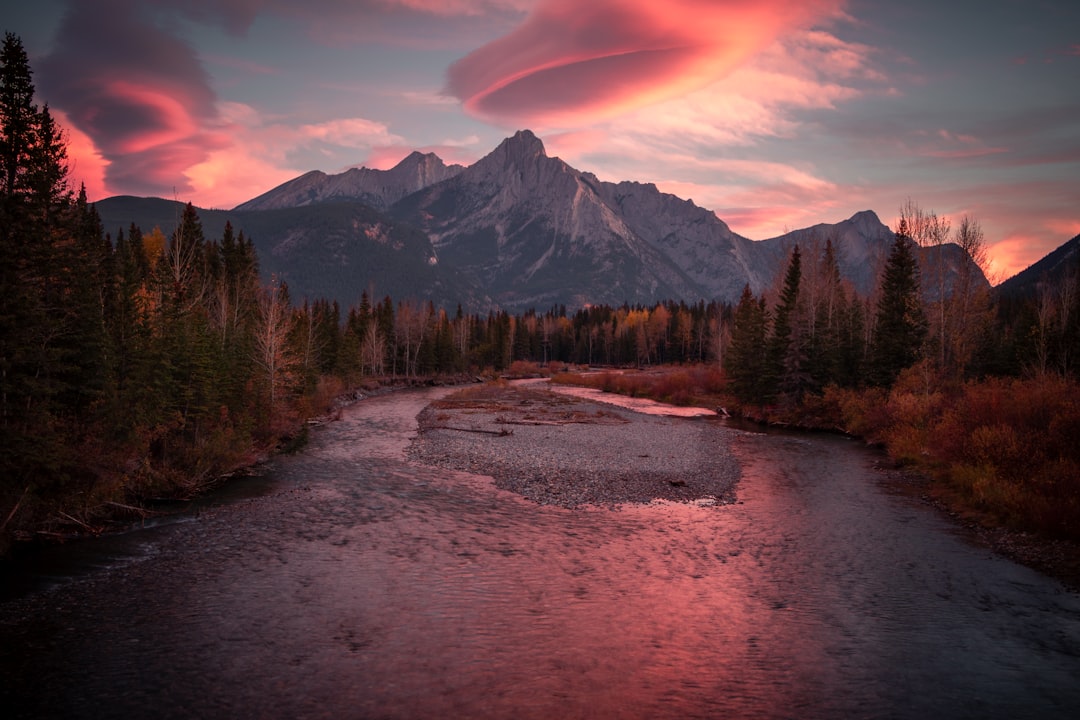 a river with trees and mountains in the background
