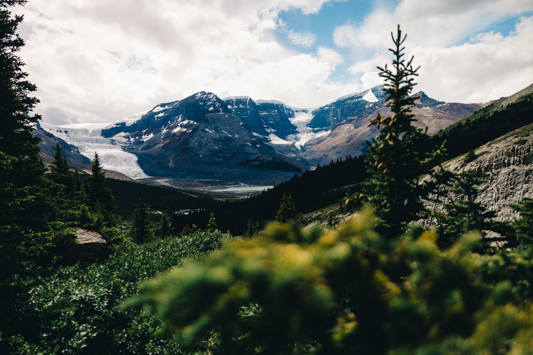 quyền công dân Canada