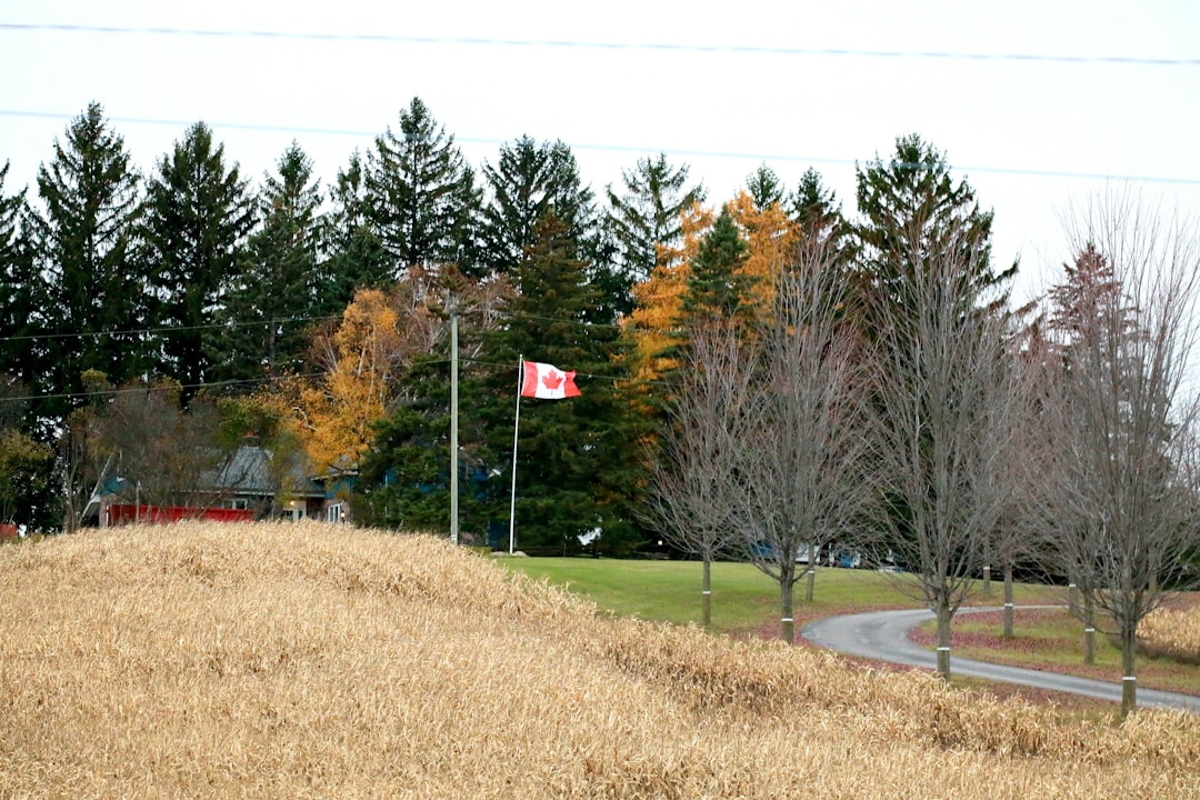 làm việc tại Canada