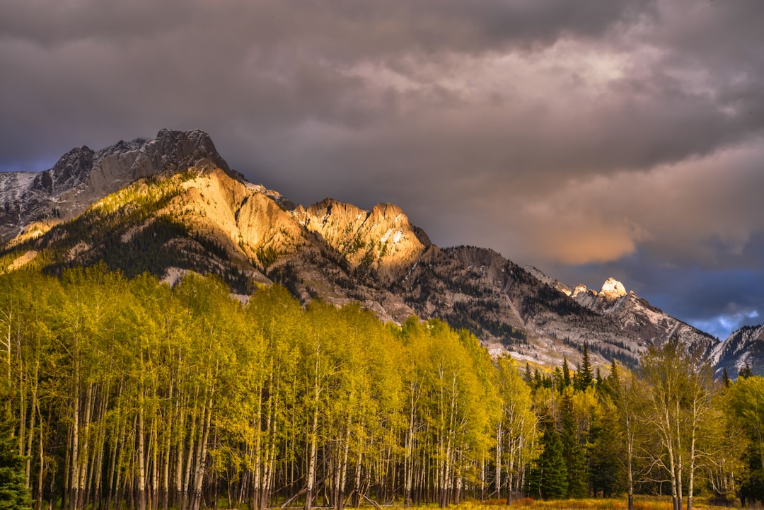Alberta