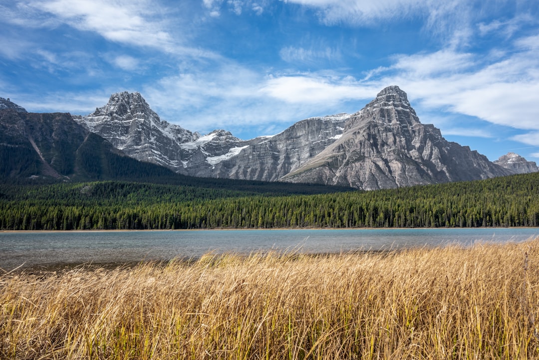 khởi nghiệp Canada