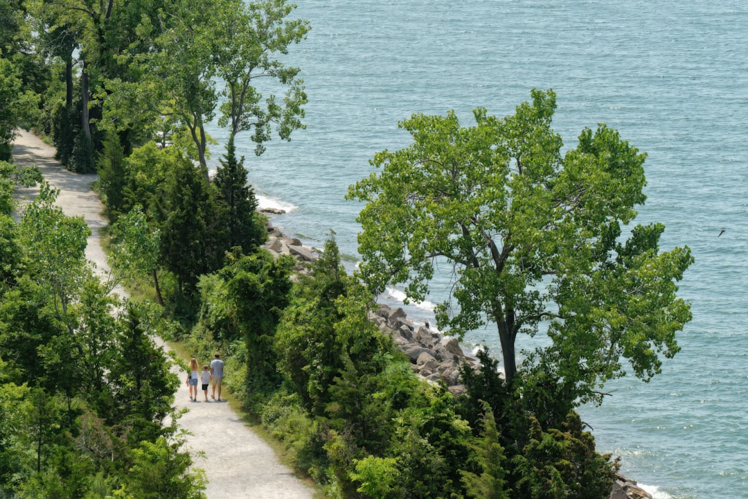 People walk on a path by the water and trees.