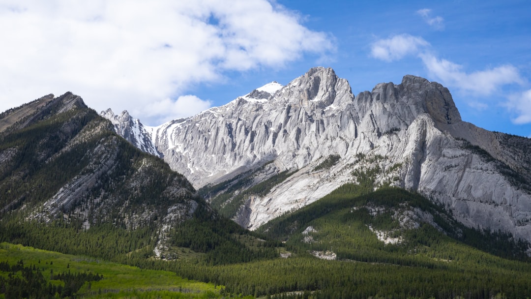 a mountain range with trees and grass in the foreground