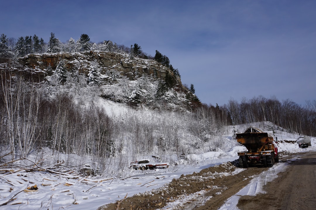 Timmins RCIP-FCIP 2026 siết giới hạn hồ sơ: mỗi employer chỉ được nộp tối đa 2 đơn mỗi đợt intake