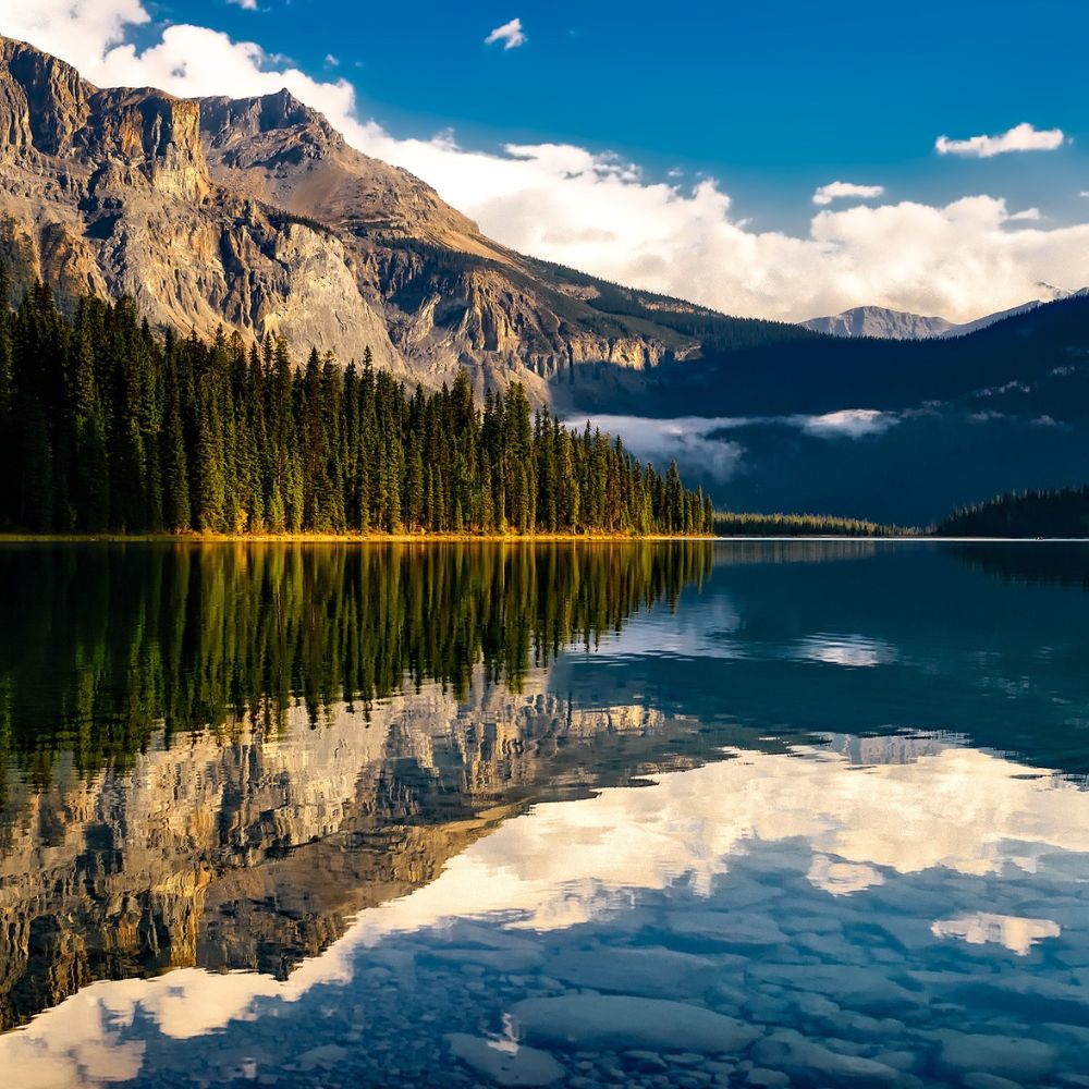 giữ số điện thoại Việt Nam khi ở Canada