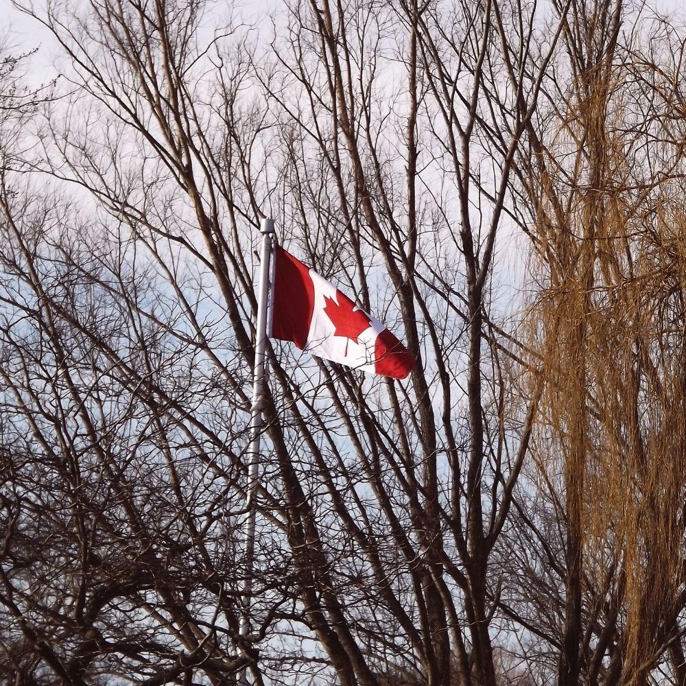 định cư Canada diện RCIP