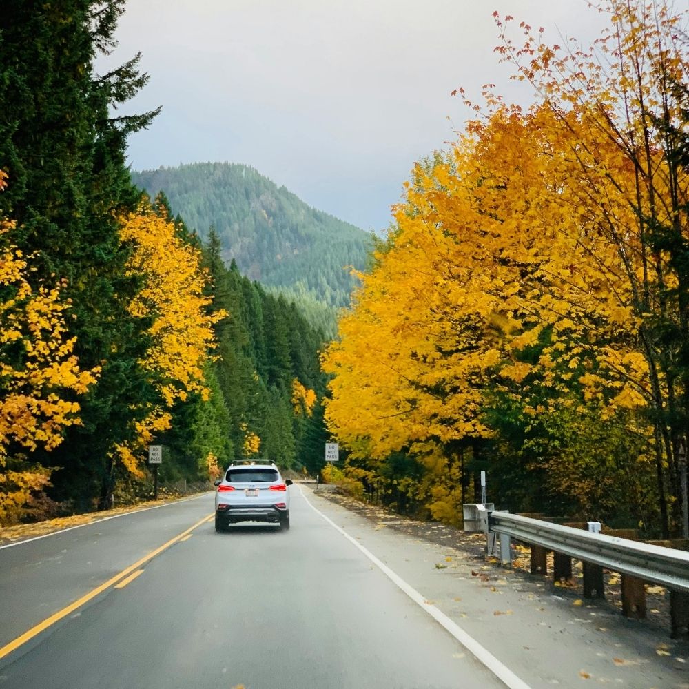 Quan hệ Việt Nam Canada