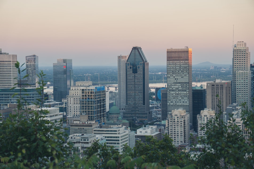 Montreal cityscape at dusk with trees in foreground.