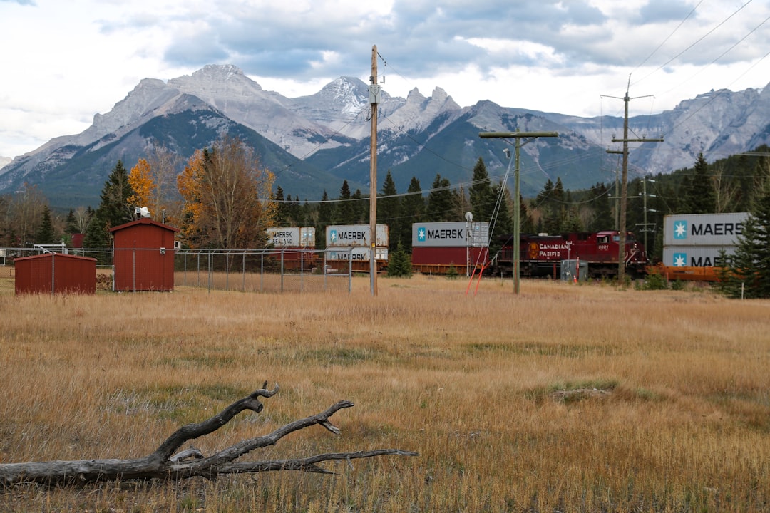 Toàn cảnh diện doanh nhân nông thôn Alberta: điều kiện, quy trình và điểm cần lưu ý năm 2026