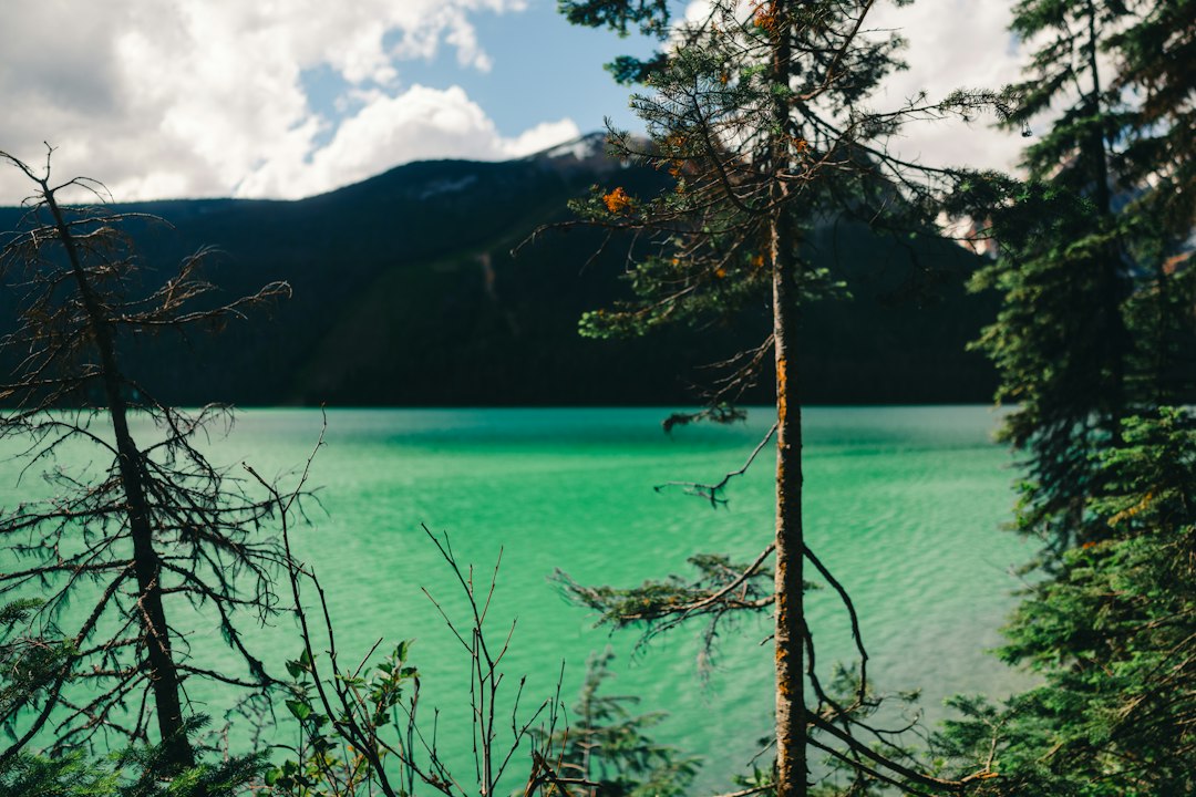 Vibrant turquoise lake surrounded by dark mountains and pine trees