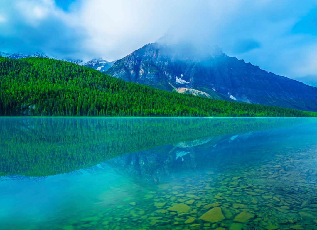 green pine trees near lake and mountain under blue sky during daytime