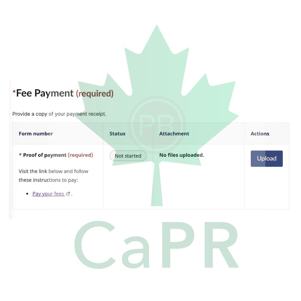 Mục nộp chứng từ thanh toán phí trong hồ sơ, một trong các mục bắt buộc khi định cư Canada diện doanh nhân
