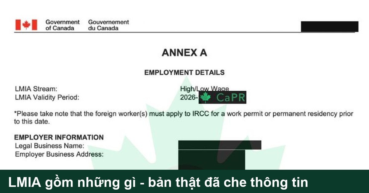 LMIA gồm những gì