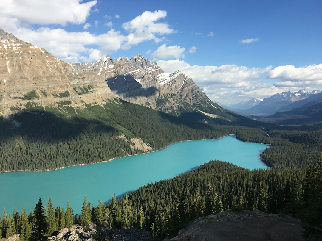 A view of a lake surrounded by mountains and trees