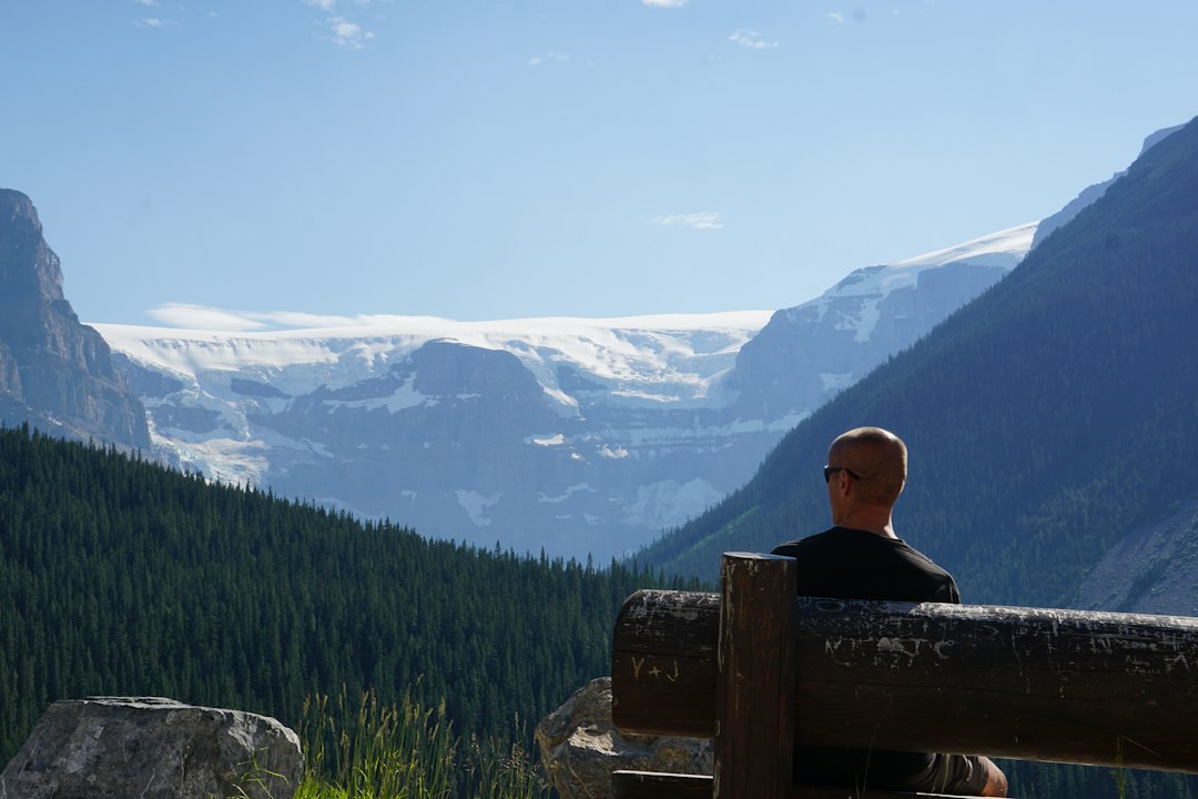 A person on a wooden bench looking at a glacier and pine forest