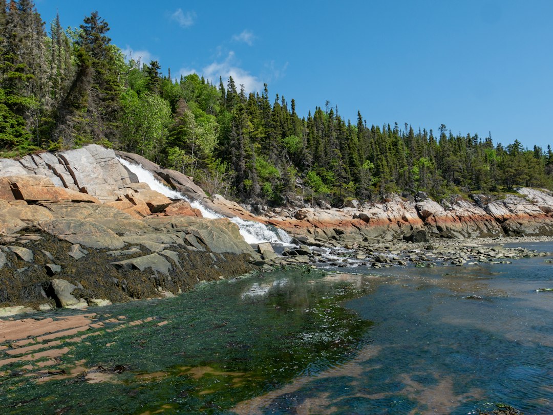 a body of water surrounded by trees and rocks