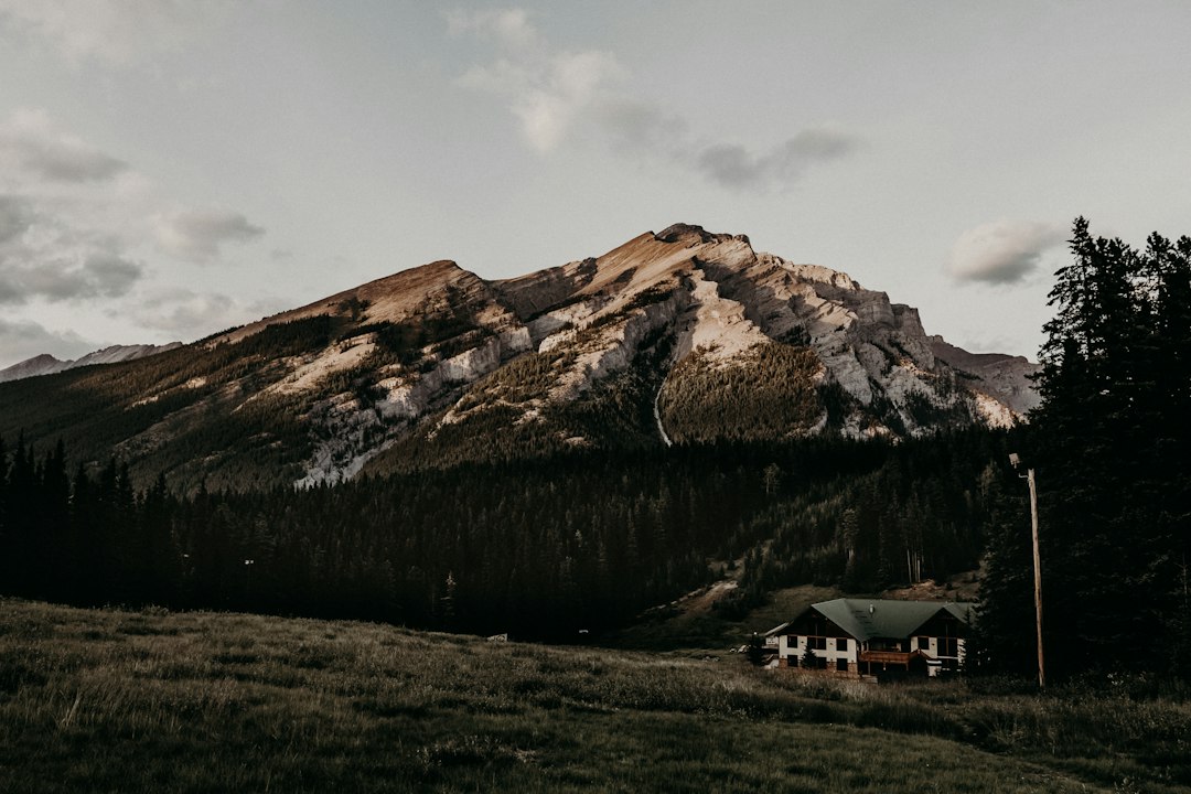house near forest