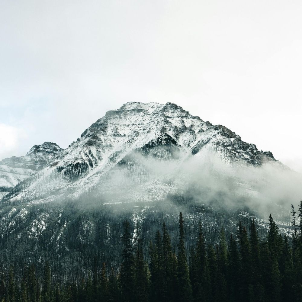 định cư Canada cần điều kiện gì định cư Canada cần điều kiện gì