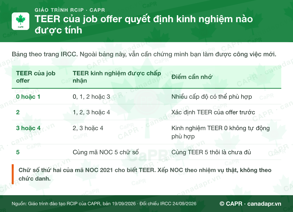 Bảng TEER job offer và TEER kinh nghiệm làm việc RCIP