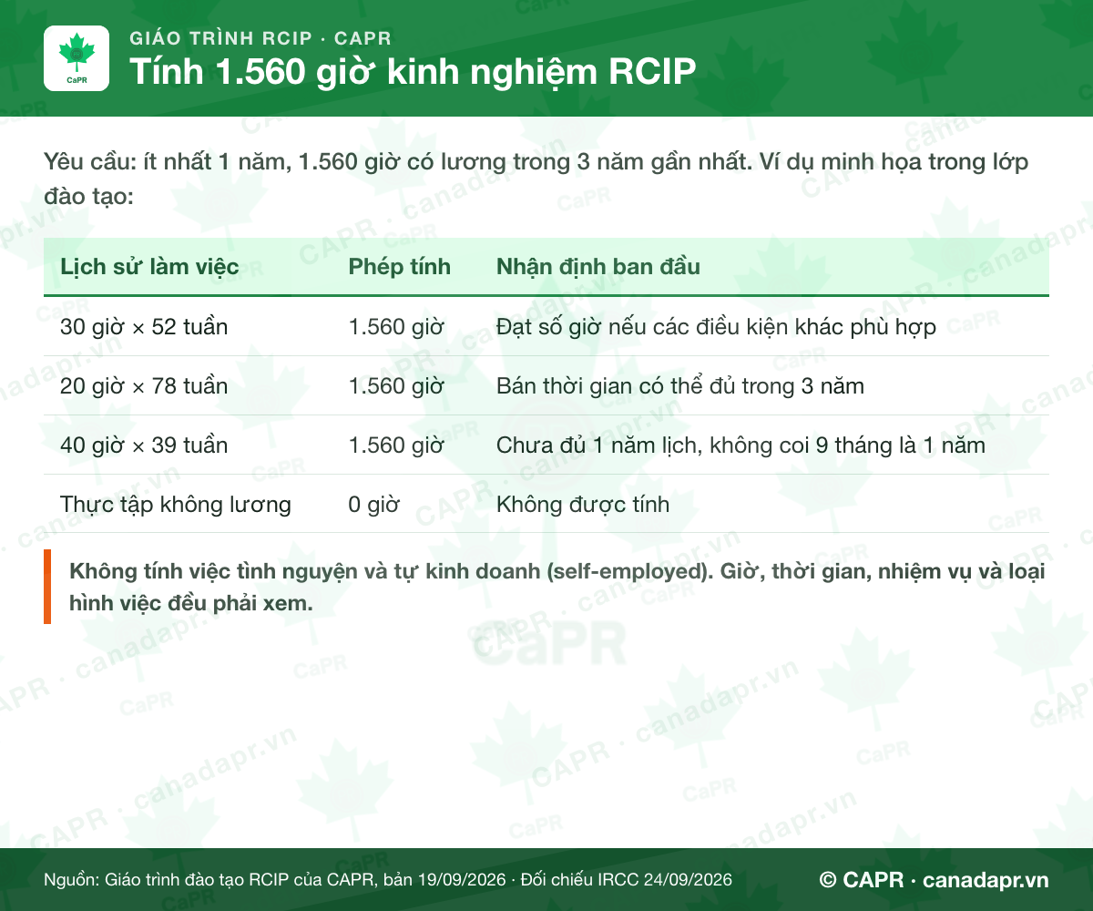 4 ví dụ tính 1.560 giờ kinh nghiệm làm việc RCIP
