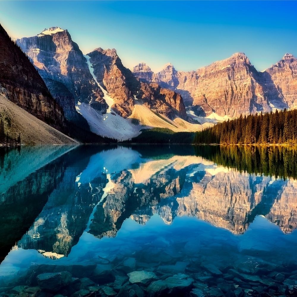 work permit LMIA phụ bếp Alberta